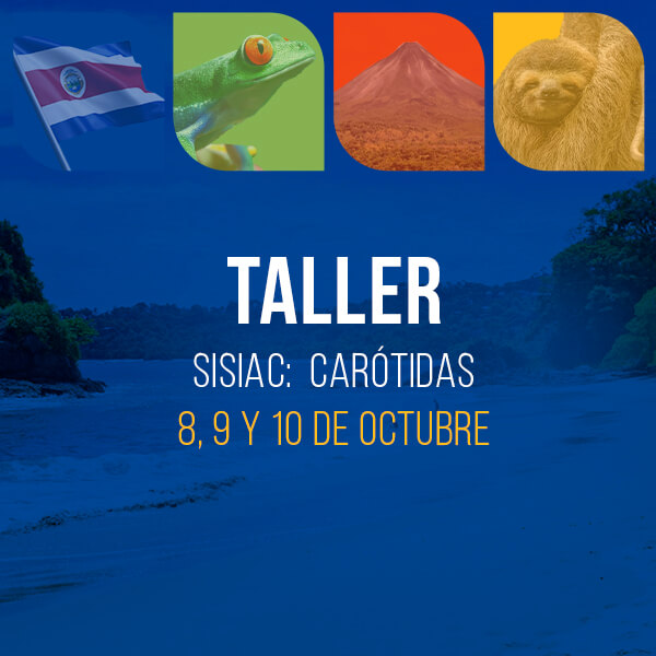 Taller de Carótidas