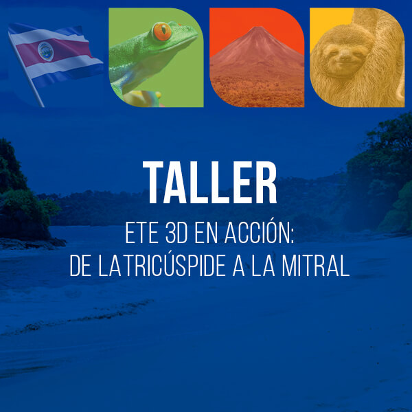 Taller de ETE 3D en acción